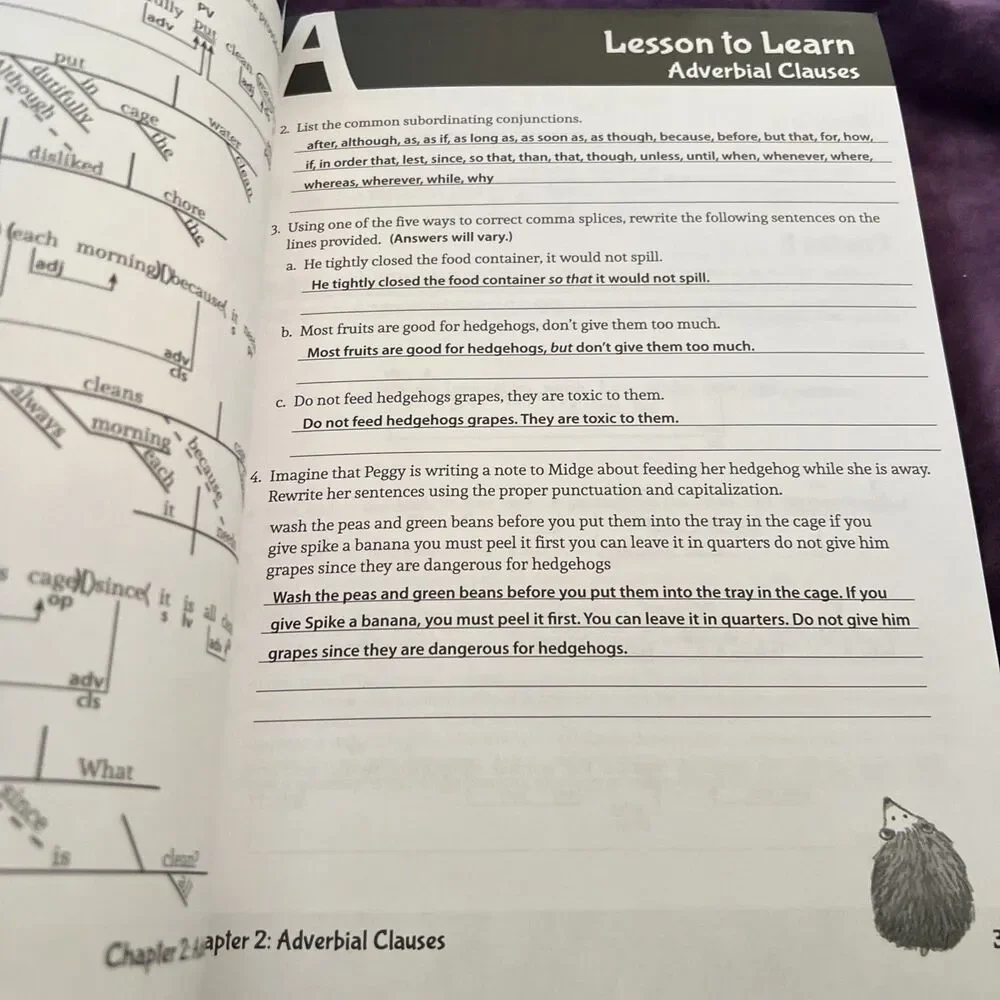 Well-Ordered Language Level 3B (Teacher’s Edition Only)